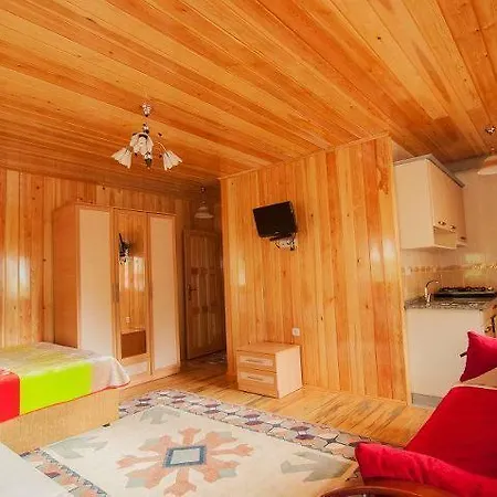 Hotel Dursun Inan Kardesler 3*