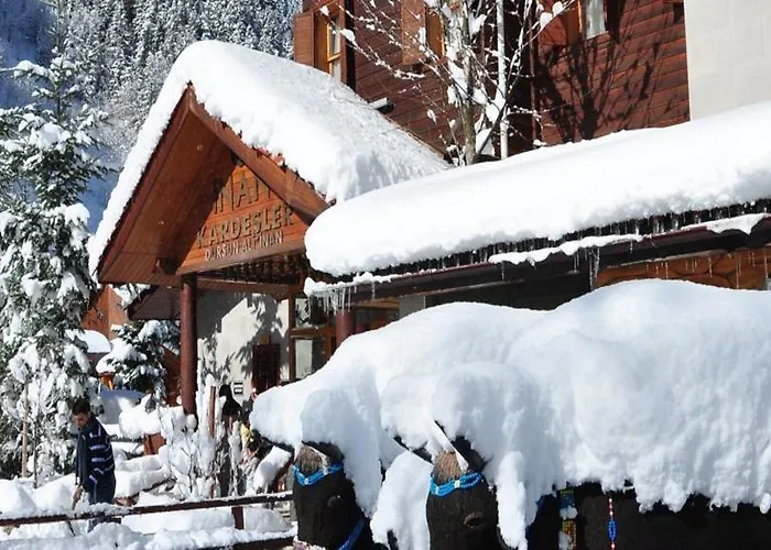 Dursun Inan Kardesler