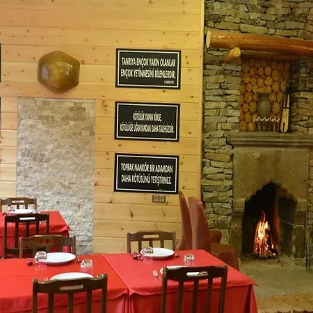 Ξενοδοχείο Dursun Inan Kardesler 3*